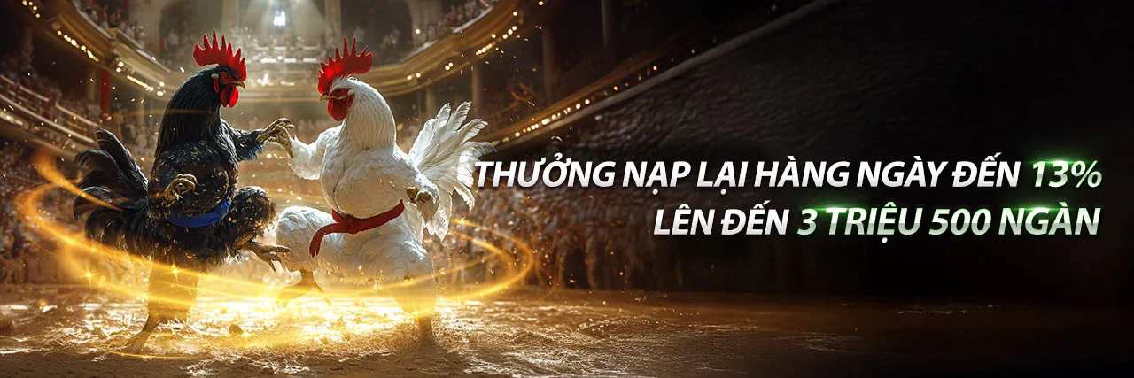 Đá gà trực tuyến f789 - Sân chơi cá cược hàng đầu Việt Nam